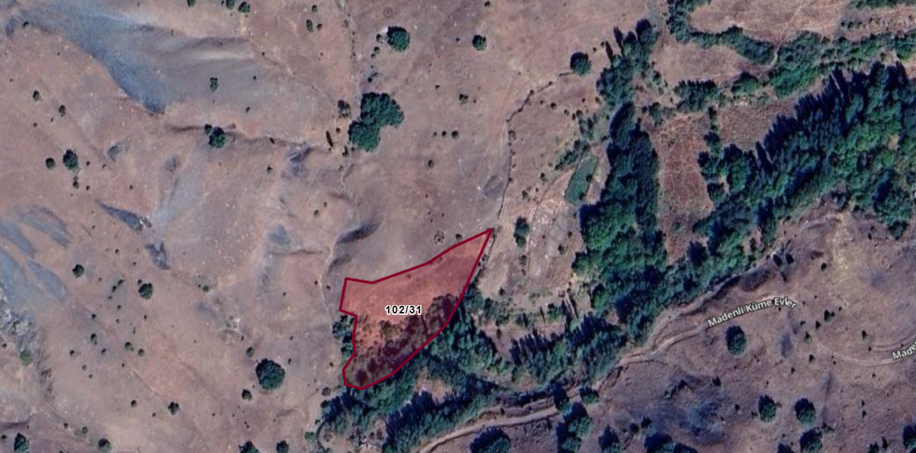 SİVAS DİVRİĞİ MADENLİ KÖYÜ 3.013 M² BAHÇEMİZ SATILIKTIR. - SİVAS DİVRİĞİ fotoğraf 5